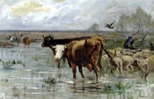 Vaches Et Moutons Au Marais