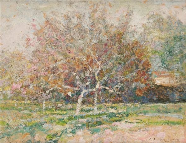 Arbres En Fleurs Dans Le Verger - view 1