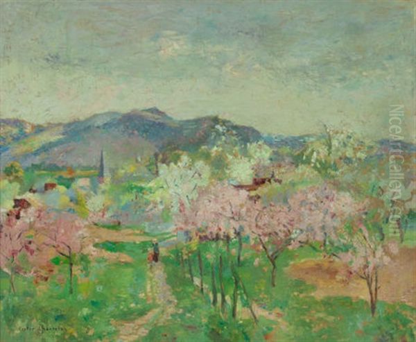Orchard In Bloom - view 1