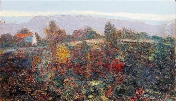 Auvergne, Les Hauts Plateaux - view 1
