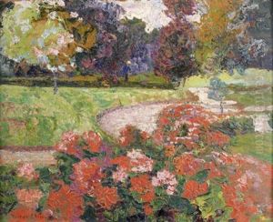 Geraniums A Bagatelle