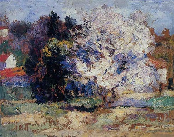 Arbres En Fleurs Au Printemps - view 1