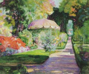 Sun Drenched Garden Sun Drenched Garden