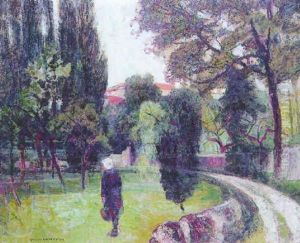 Arbres Au Printemps Apres La Pluie