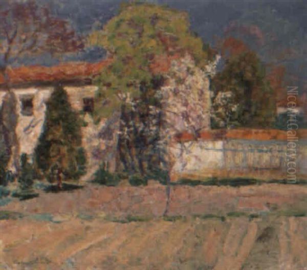 Le Jardin De La Sagne, Printemps - view 1