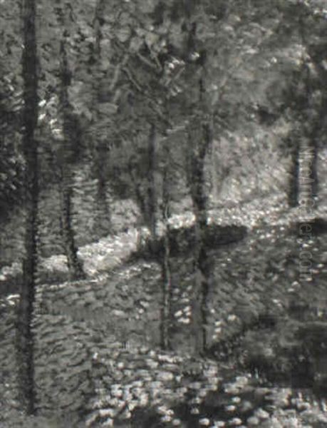 Sous-bois - view 1