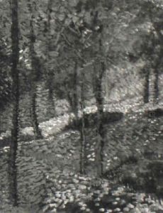 Sous-bois Sous-bois