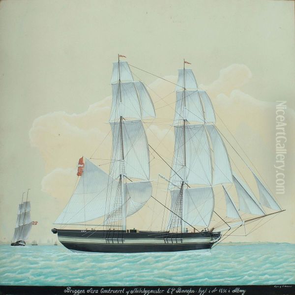 "sara" - view 1
