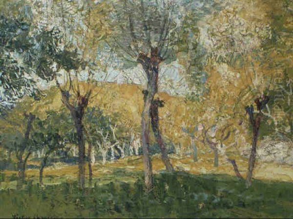 Baumlandschaft - view 1
