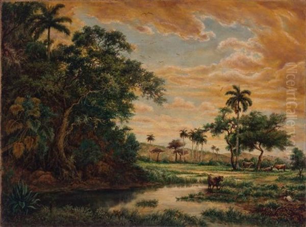 Cuban Landscape - view 1