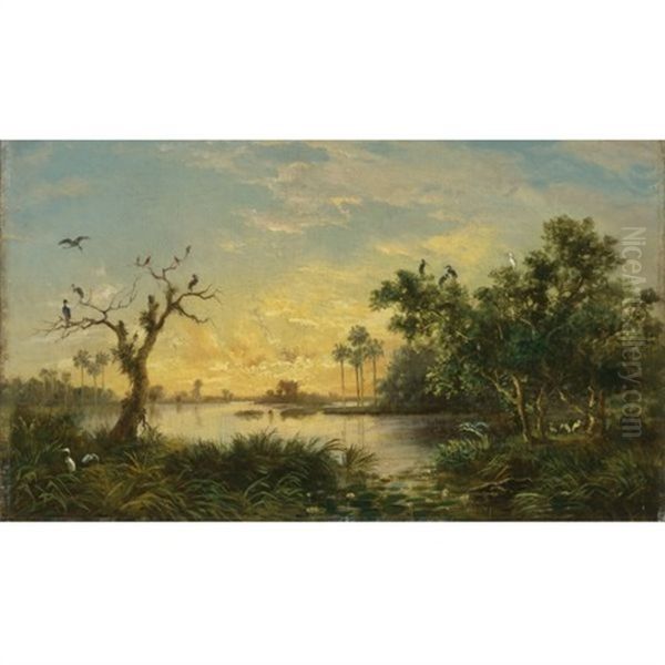 Untitled (atardecer) - view 1