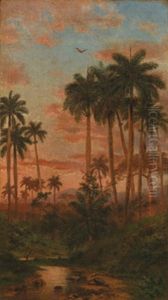 Sonnenuntergang In Den Tropen by Esteban Chartrand