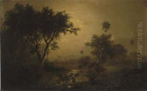 La Noche - Nocturnal Landscape