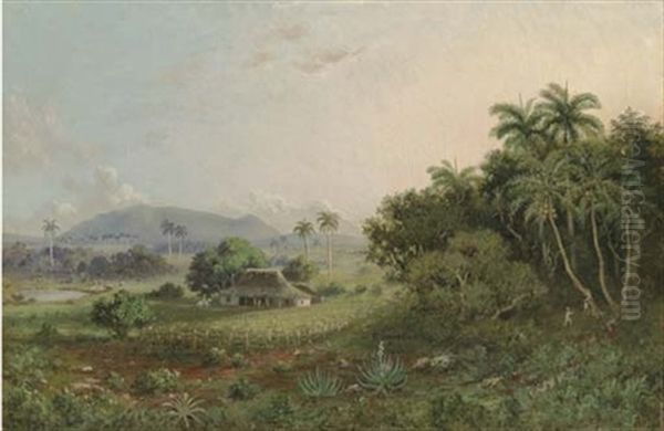 Untitled - view 1
