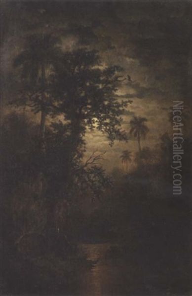 A Tropical Landscape At Dusk - view 1
