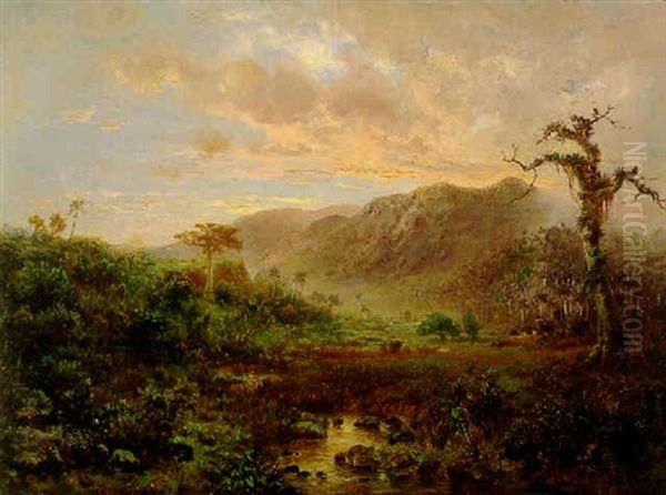 Puesta De Sol - view 1