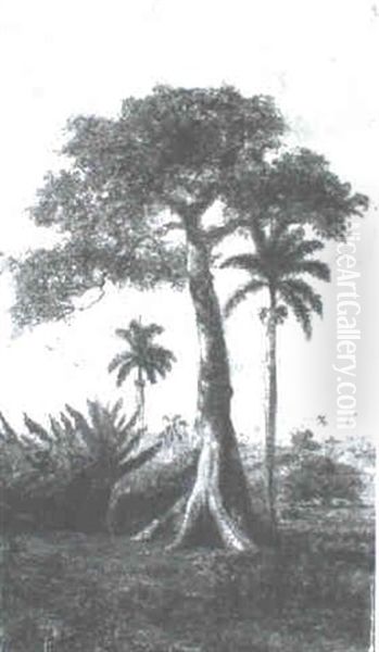 Paisaje Cubano - view 1