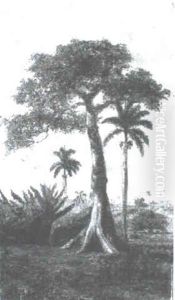 Paisaje Cubano by Esteban Chartrand