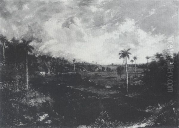 Paisaje Tropical - view 1