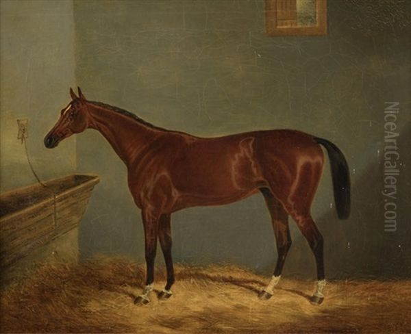 Horse In A Stable - view 1
