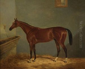 Horse In A Stable by Henry Chase