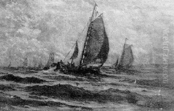 Sailing Day - view 1
