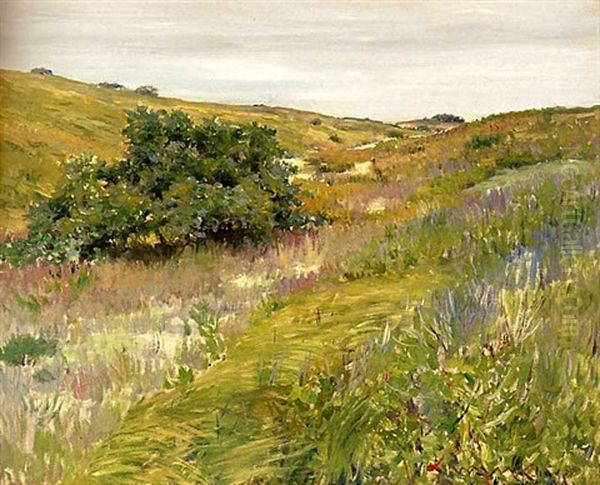 Landscape, Shinnecock Hills - view 1