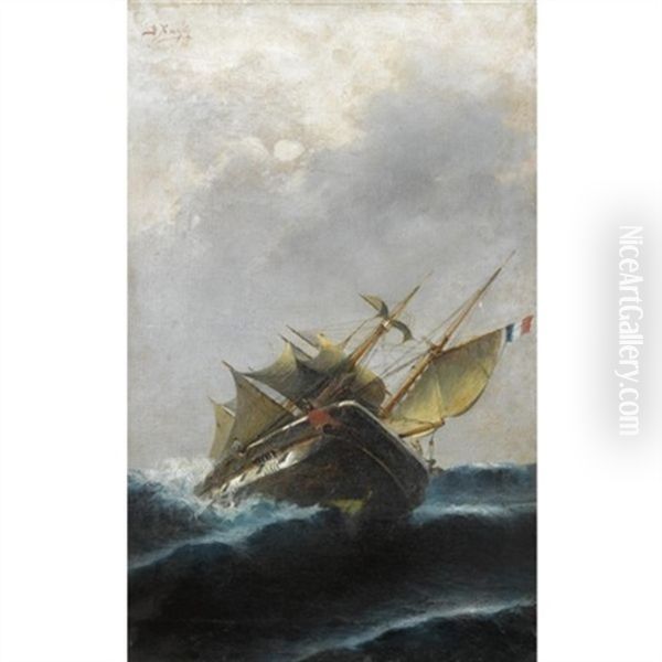 Marine - view 1