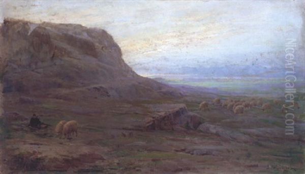 A Shepherd And His Flock - view 1
