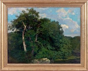 La Mare Aux Fees, Foret De Fontainebleau