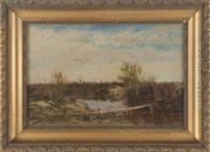 Vue De Camargue
