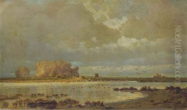 Paysage De Camargue Aux Flamants Roses - view 1