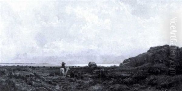 La Camargue - view 1