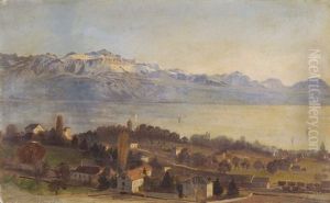 Blick Von Der Umgebung Von Lausanne Auf Den Genfersee