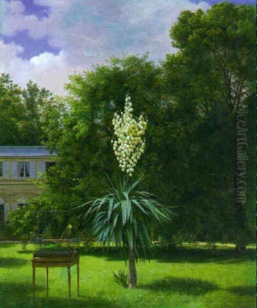 Yucca Gloriosa - view 1