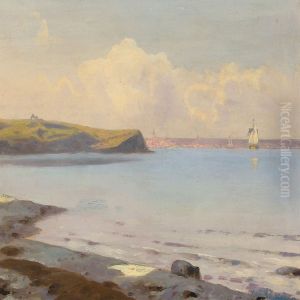 Coastel Scenery, In The Background The City Of Aarhus
