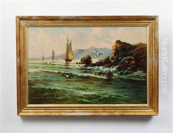 Rocky Coast With Boats And Gulls - view 1