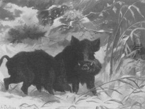 Wildschweine Im Winterwald