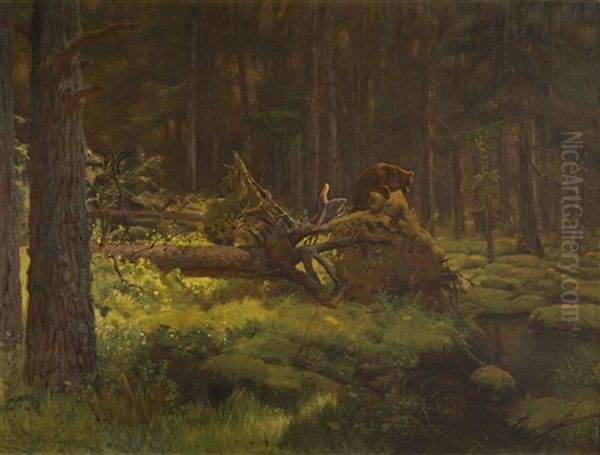 Lithuanian Forest - view 1