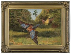 Birds by Josef Chelmonski