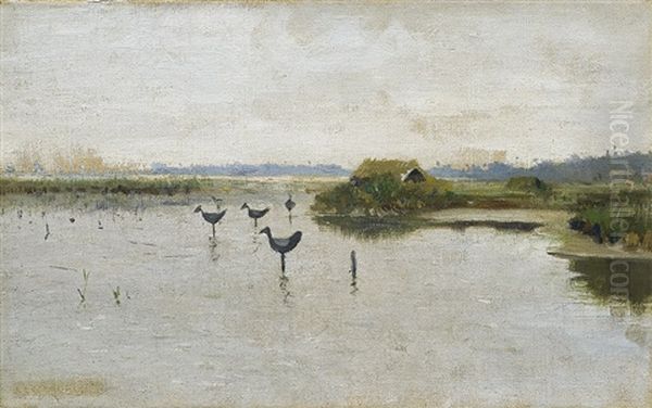 Duck Decoys On A Lake - view 1