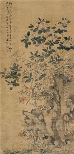 Plants And Flowers - view 1