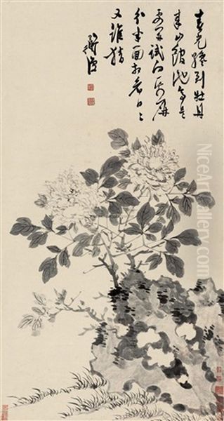 Peony - view 1