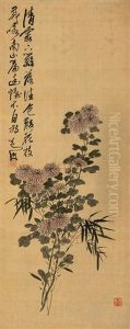 Chrysanthemum