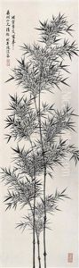 Bamboo Bamboo