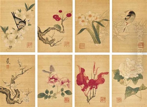 Insects And Flowers - view 1