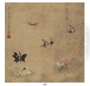 Butterfly Butterfly