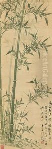 Bamboos Bamboos