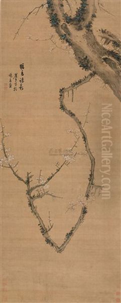 Plum - view 1