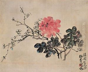 Peony Peony